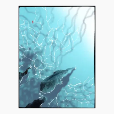 Elefantes En El Mar