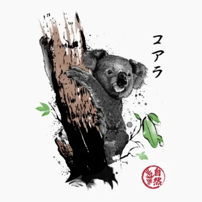 Koala