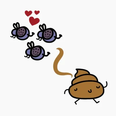 Moscas In Love