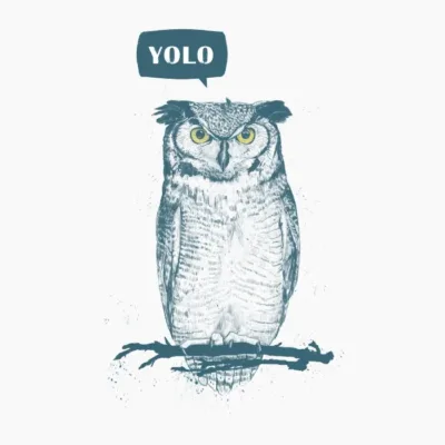 Yolo