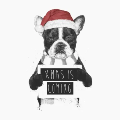 Xmas Is Coming