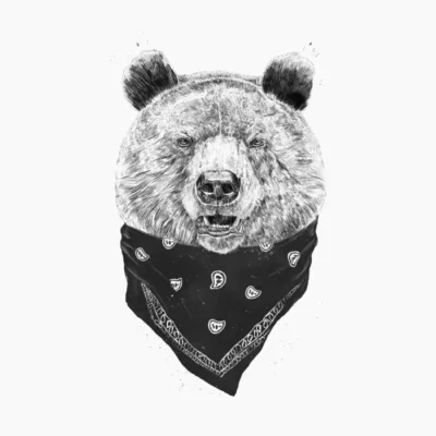 Wild Bear