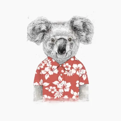 Summer Koala Red