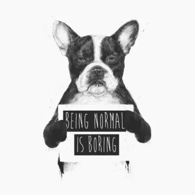 Being normal is boring
