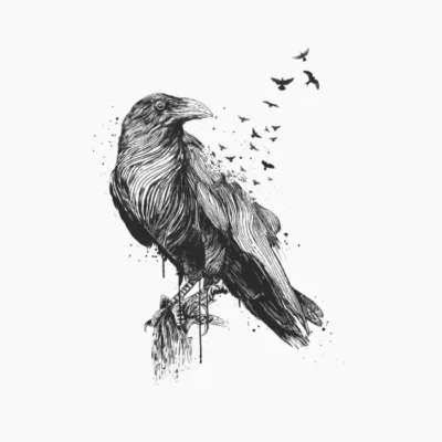 Born to be free bw