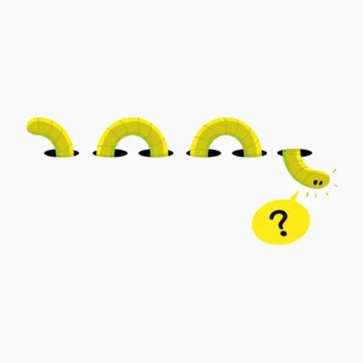 Worm Hole