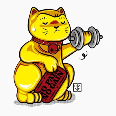 No Pain No Gain