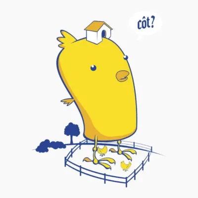 Cot