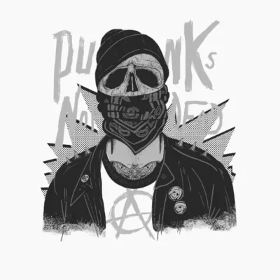Punk Shull