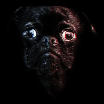 Sad Dog Face