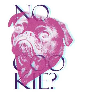 No Cookie?