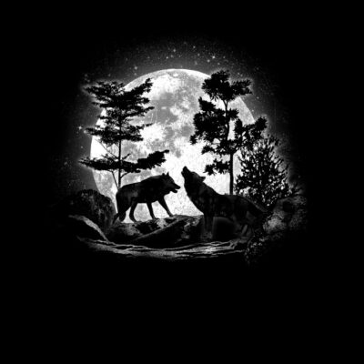 Moonlight wolf