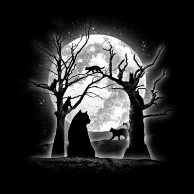 Moonlight Felines