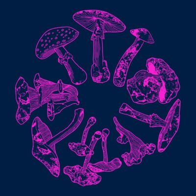 Acid Schroom