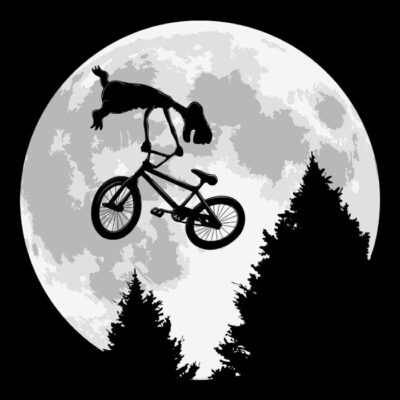 Et back flip