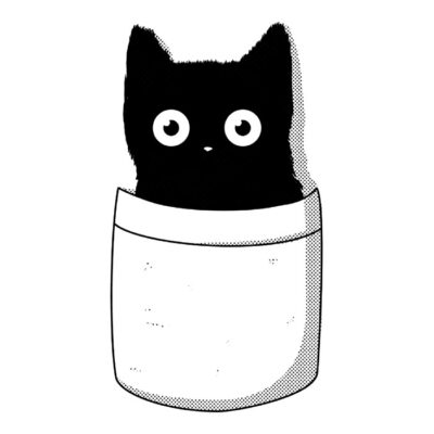 Cat pocket 3