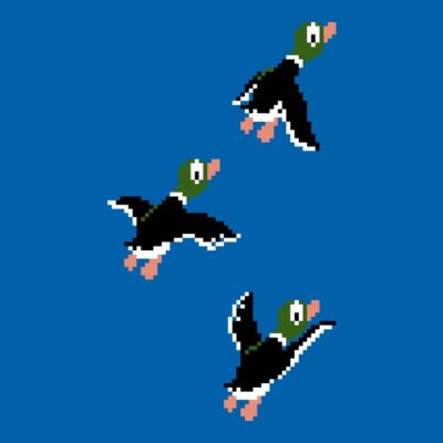 Duckhunt ducks1