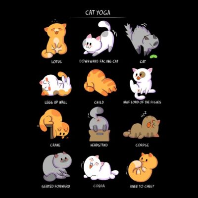 Cat Yoga