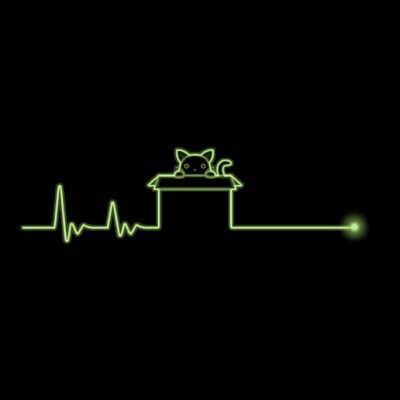 Schrodingers heart beat