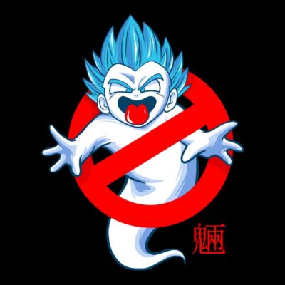 NO GHOST INSIDE