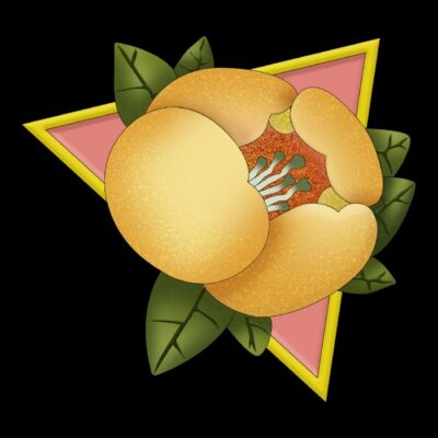 Flowers Nice