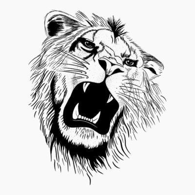 Black Lion Face
