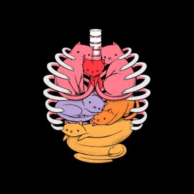 Anatomicat