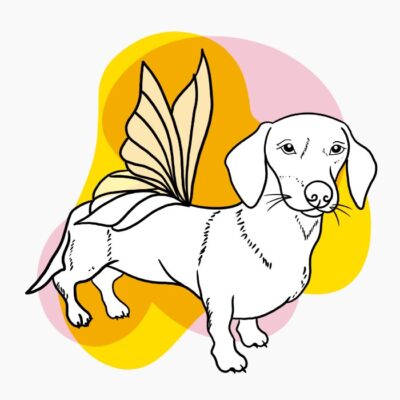 PixiDog