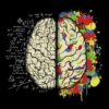 Brainmaths copia