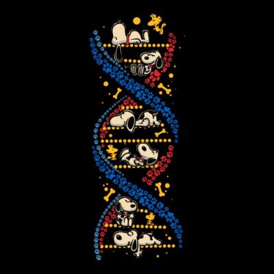 Beagles DNA