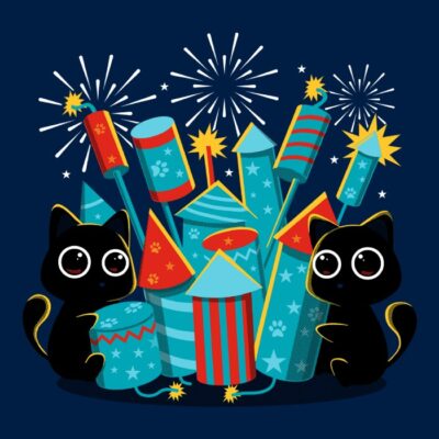 Fireworks day