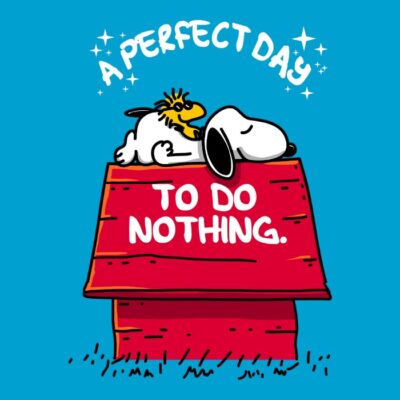 Perfect Day