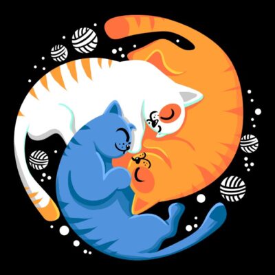 Purrfect cycle