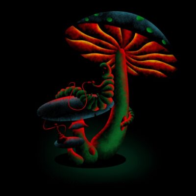 Under The Mushroom