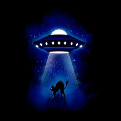 Ufo Cat