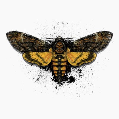 Acherontia