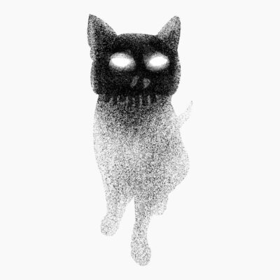 14Cat