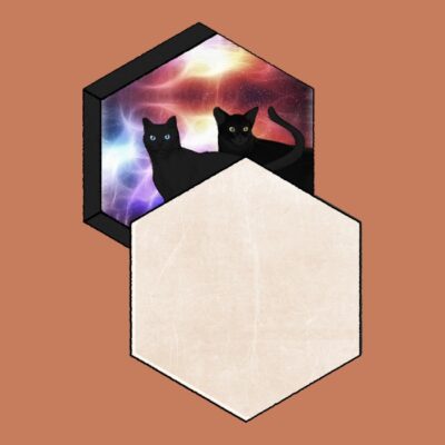07Cat