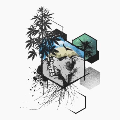 06Weed