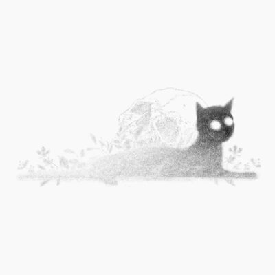 06Cat