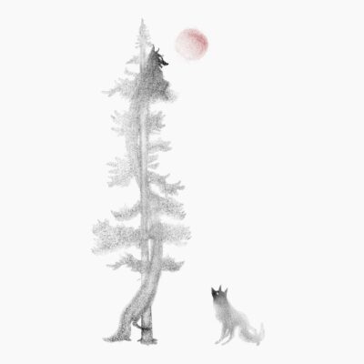 05Fox