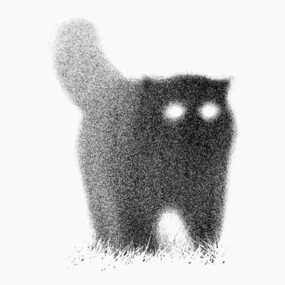 05Cat