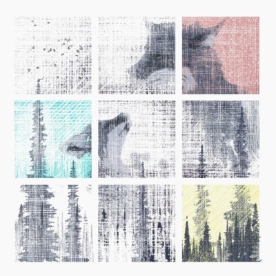 04Fox