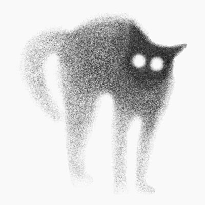 03Cat