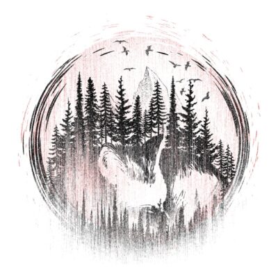 01Fox