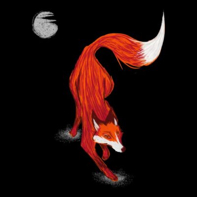 Foxy Fox