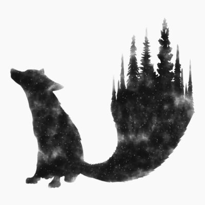 Foxy Fox 5