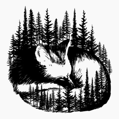 Foxy Fox 3
