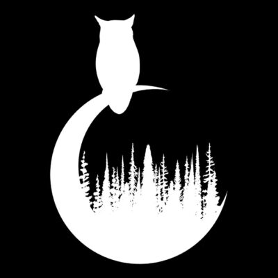 Buho de noche