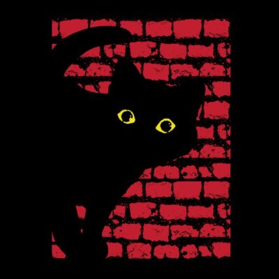black cat